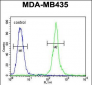 MRM1 Antibody (N-term)